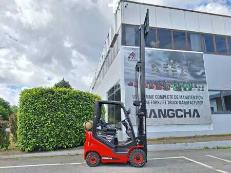 Wózki gazowe 2025  HC (Hangcha) XF15G-2 (10)