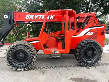 Telehandler Fixed 2014  SkyTrak 6036 (2)
