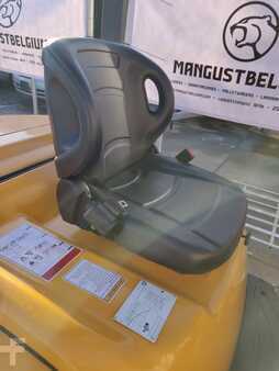 Diesel heftrucks 2024  [div] CPCD25 (3)