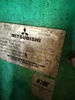 4-Wheel Electric 2016  Mitsubishi FBC25N (12)