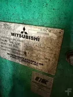 4-Wheel Electric 2016  Mitsubishi FBC25N (30)