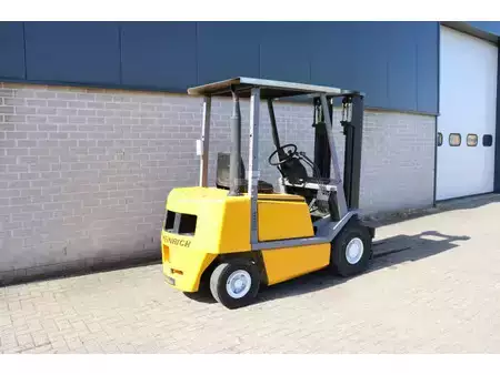 Diesel gaffeltruck 1993  Jungheinrich DFG25 DFG25 (4)