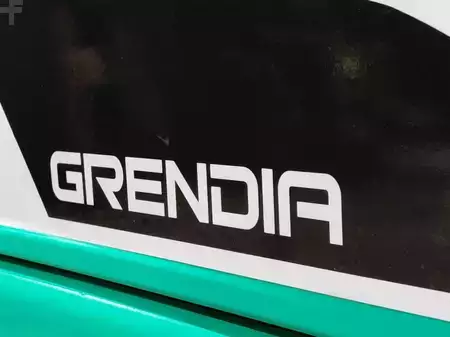 Empilhador a gás 2022  Mitsubishi FG25NT (7)