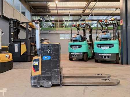 Transpallet elettrici 2018  CAT Lift Trucks NPP20N2 (5)