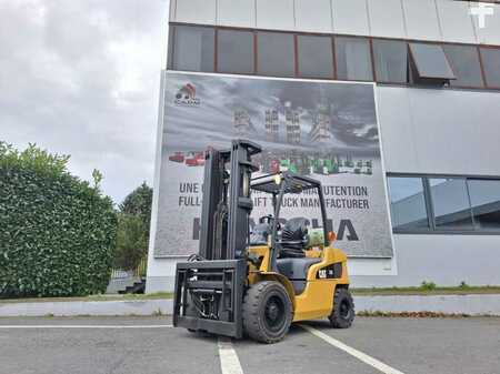 Treibgasstapler 2013  CAT Lift Trucks GP30NTD (2)