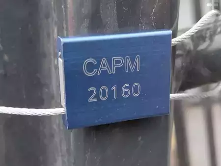 Dieselový VZV 2018  CAT Lift Trucks DP55NT MC (17)