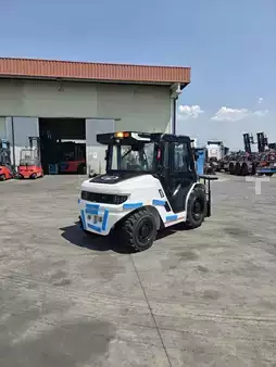 Carretilla todoterreno 2026  EP Equipment RTF25-4L1-HV (6)