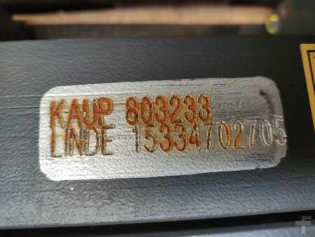 Zinkenverstellgerät 2020  Linde  (5)