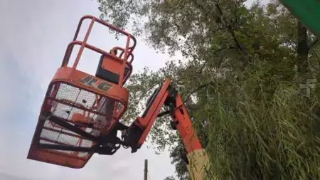 Plataforma Articulada 2017  JLG 450AJ (3)