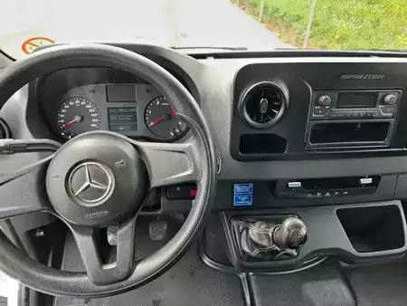 Autohoogwerker 2019  Palfinger P 250 BK | 2019 (13)
