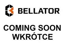 Tracked pavers VÖGELE Super 800