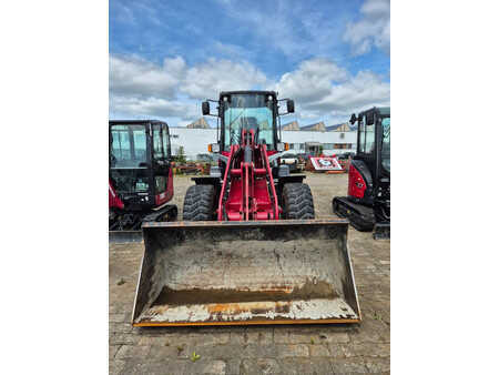 Kolové nakladače 2024 Yanmar V100/5 (5)