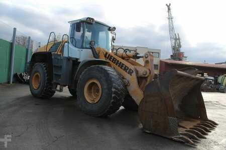 Wielladers 2008 Liebherr L 566 (4)