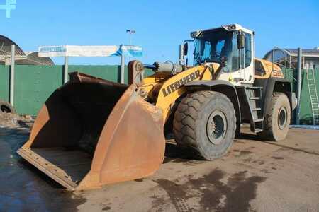 Pale Gommate 2019 Liebherr L 580 Xpower (1)