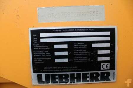 Hjullæsser 2020 Liebherr L 576 Xpower (2)