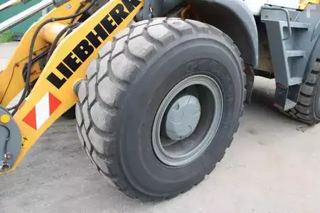 Ładowarki kołowe 2021 Liebherr L538 - Nr.: 510 (9)