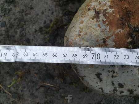 Accessoires 0 [Other] Betonschere Pulverisierer / Multiprozessor / CW20 (11)