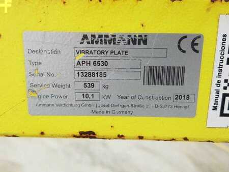 Sonstige 2018 Ammann APH 6530 Rüttelplatte / 539kg / 2018 / Diesel (9)