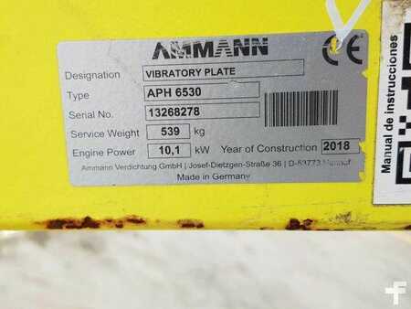Ostatní 2018 Ammann APH 6530 Rüttelplatte / 539kg / 2018 / Diesel (9)
