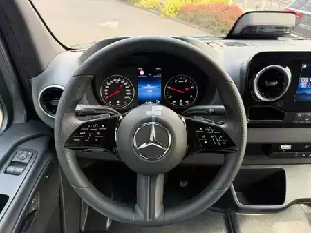 Autres 2025 Mercedes-Benz Sprinter 317 CDI 9G 3665 AHK3,5 Klima 360 (13)
