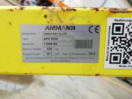 Ostatní 2018 Ammann APH 6530 Rüttelplatte / 539kg / 2018 / Diesel (8)