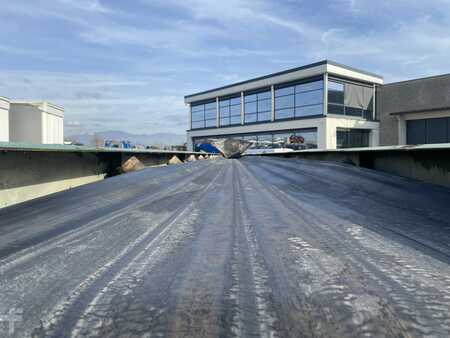 Muut 2015 McCloskey TS4065 (7)