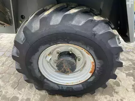 Dumpere 2017 Wacker Neuson 3001 (7)