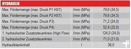 Laderaupe 2024 Takeuchi TL 10 V2 (13)