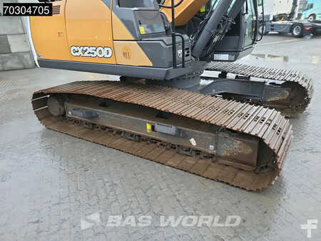 Koparki gąsienicowe 2020 Case CX250 D (24)