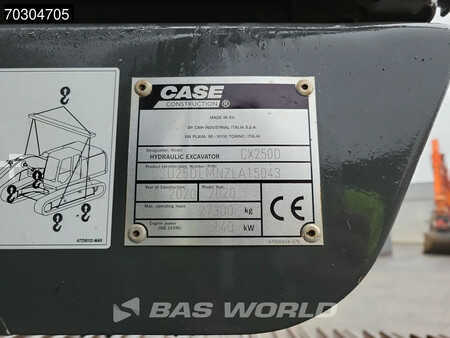 Koparki gąsienicowe 2020 Case CX250 D (39)
