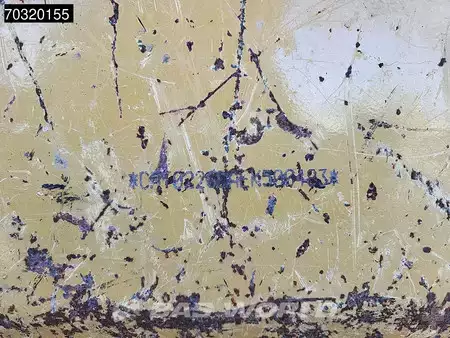 Pale Gommate 2021 Caterpillar 226 D3 (34)