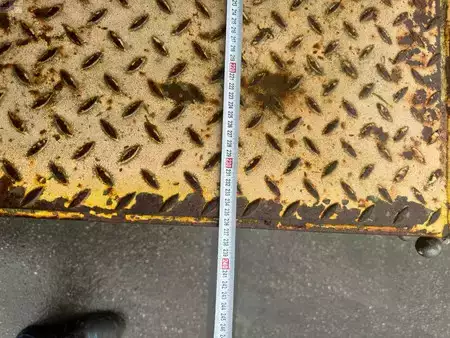 Miscelaneo 2008 Miloco Zwaartransport Kar (15)