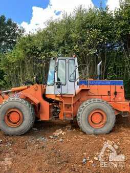 Pale Gommate 1994 Fiat-Hitachi FR 160 (7)