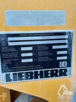 Wielladers 2020 Liebherr L 566 X POWER (6)