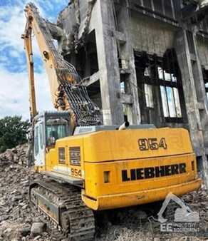 Korečková rýpadla 2007 Liebherr R 956 C HDV LITRONIC (9)