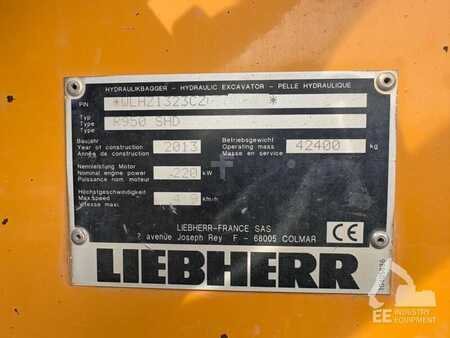 Koparki gąsienicowe 2013 Liebherr R 950 SHD (7)