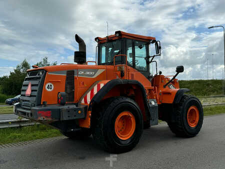 Pale Gommate 2015 Doosan DL300-5 (5)