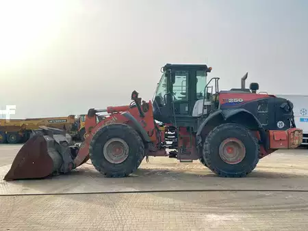 Hjullæsser 2019 Hitachi ZW250-6 (1)