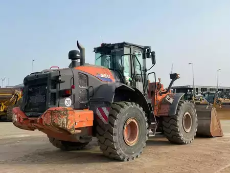 Hjullæsser 2019 Hitachi ZW250-6 (3)
