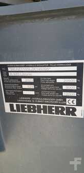 Escavadora de rodas 2023 Liebherr A920 (10)