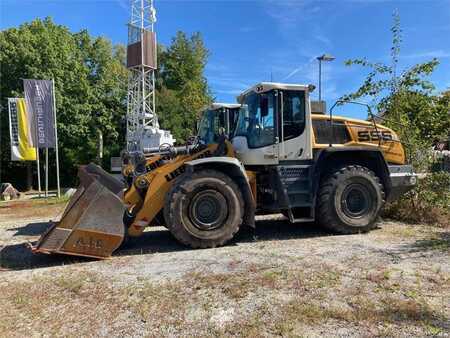Ładowarki kołowe 2021 Liebherr L556 X-Power (1)