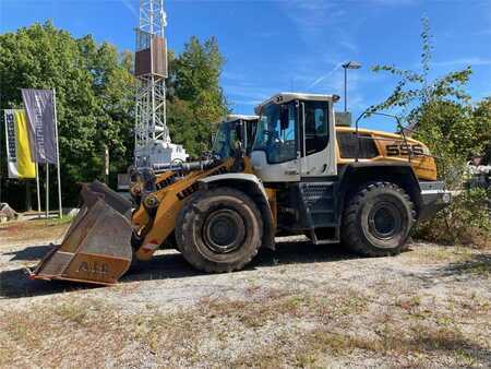 Ładowarki kołowe 2021 Liebherr L556 X-Power (3)