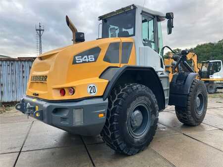 Ładowarki kołowe 2020 Liebherr L546 (8)