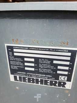 Liebherr A920 Litronic