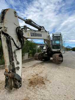 Excavadoras de cadenas 2007 Liebherr R924BHDSL (2)