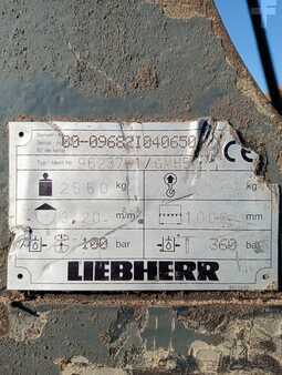 Umschlagbagger 2008 Liebherr A934 (9)