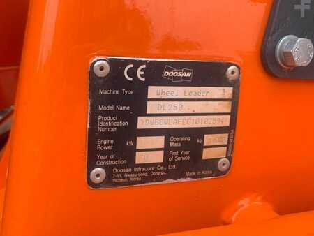 Chargeuse sur pneus 2012 Doosan DL250 (9)