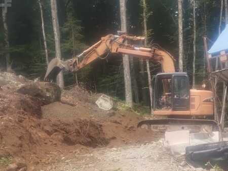 Koparki gąsienicowe 2006 Case CX135SR (4)