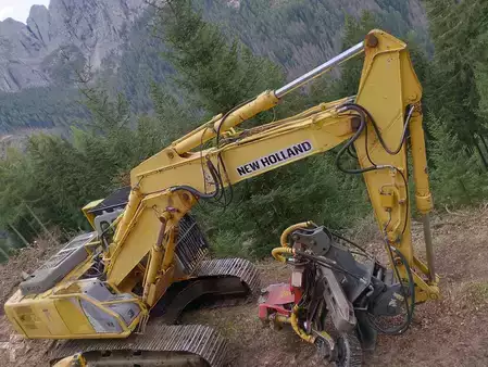 Escavatori cingolati 2006 New Holland Construction E245B (1)