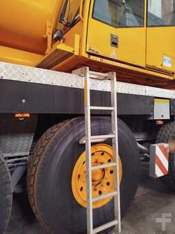 Ostatní 2001 Demag AC300 (1)